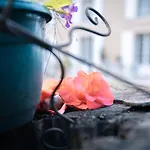Patio Des Reves - Charme Au Coeur Du Gers فندق مبيت وإفطار