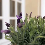 فندق مبيت وإفطار Patio Des Reves - Charme Au Coeur Du Gers Aujan-Mournede