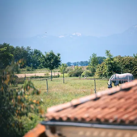 Patio Des Reves - Charme Au Coeur Du Gers B&B