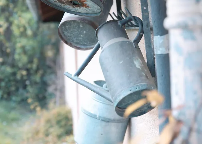 Patio Des Reves - Charme Au Coeur Du Gers B&B 3*