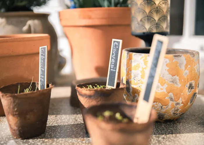 B&B Patio Des Reves - Charme Au Coeur Du Gers 3*