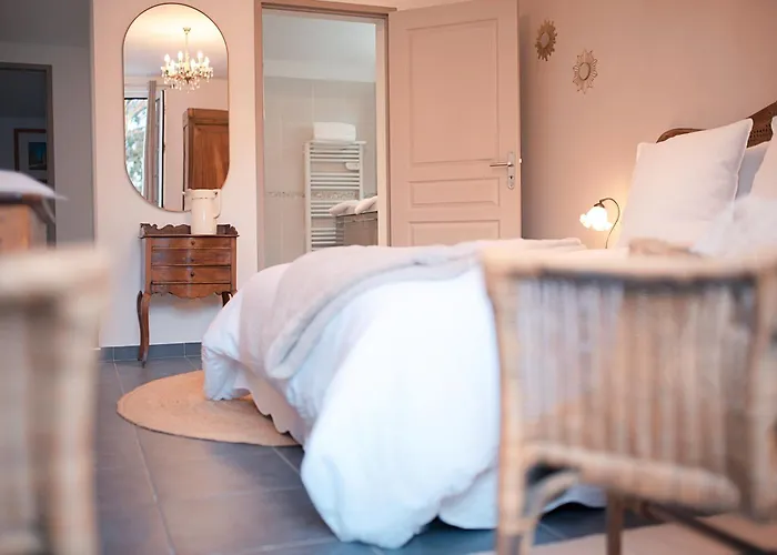 B&B Patio Des Reves - Charme Au Coeur Du Gers 3*