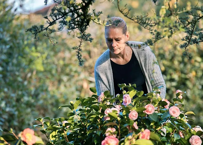Patio Des Reves - Charme Au Coeur Du Gers B&B