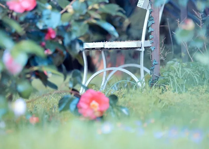 Patio Des Reves - Charme Au Coeur Du Gers B&B Aujan-Mournede