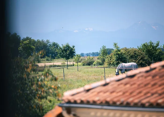 Patio Des Reves - Charme Au Coeur Du Gers B&B