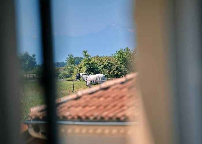 B&B Patio Des Reves - Charme Au Coeur Du Gers