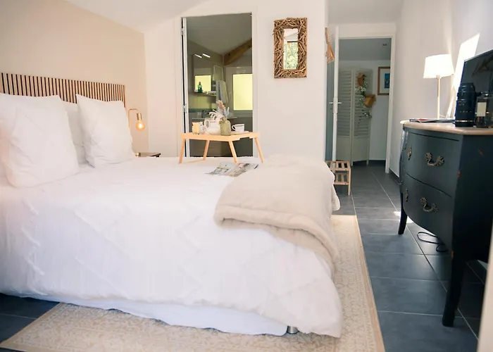 Patio Des Reves - Charme Au Coeur Du Gers 3* Aujan-Mournede