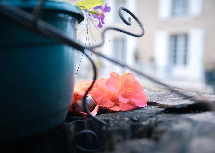 Patio Des Rêves - Charme Au Cœur Du Gers Couette-café